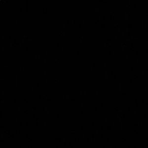 Meet your Posher, Alayha